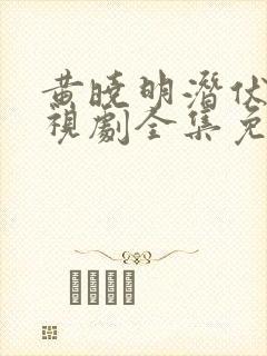 黄晓明潜伏者电视剧全集免费观看