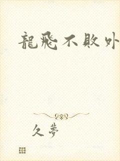 龙飞不败外传