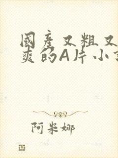 国产又粗又黄又爽的A片小说