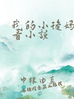 我的小后妈免费看小说