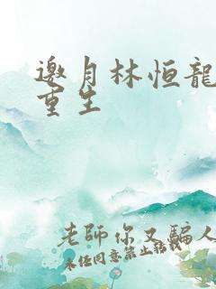 邀月林恒龙凤胎重生
