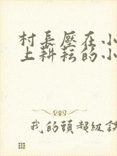 村长压在小娥身上耕耘的小说