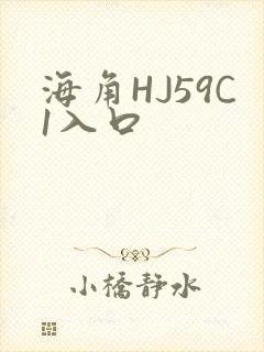 海角HJ59C1入口