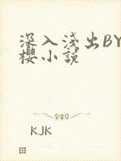 深入浅出BY胖樱小说