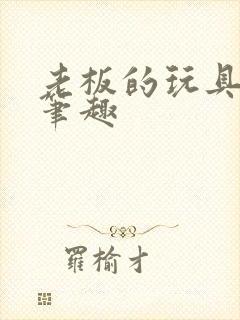 老板的玩具小米笔趣