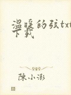 温暖的弦txt下载