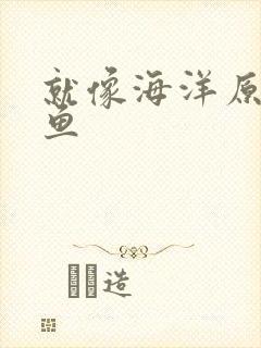 就像海洋原谅了鱼