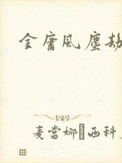 金庸风尘劫