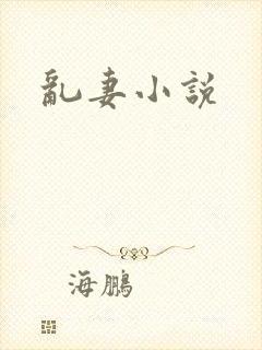 乱妻小说