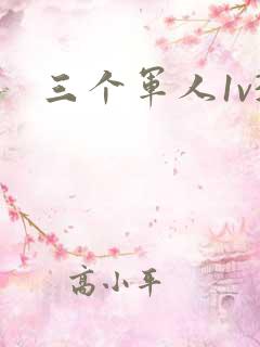 三个军人1v3