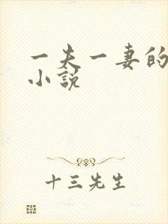 一夫一妻的玄幻小说