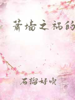 萧墙之祸的意思