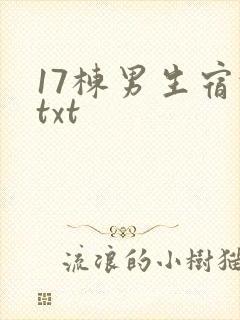17栋男生宿舍txt
