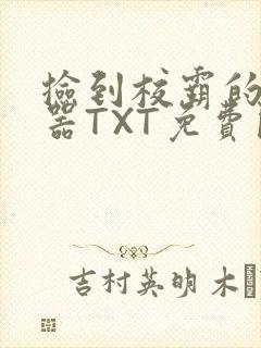 捡到校霸的遥控器TXT免费阅读