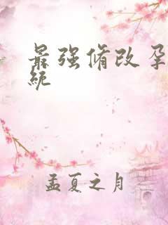 最强修改孕妇系统