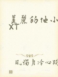 美丽的他小说TXT