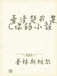 看清楚我是怎么C你的小说