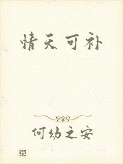 情天可补