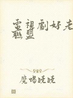 电视剧好老婆大联盟