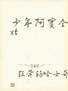 少年阿宾全集txt