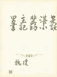 男主裴湛是省委书记的小说