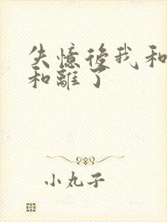 失忆后我和王爷和离了