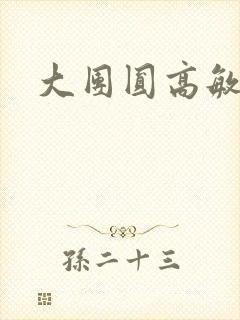 大团圆高敏