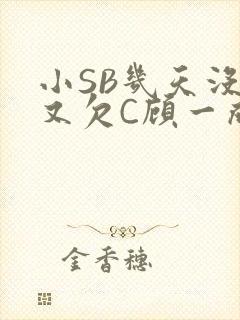 小SB几天没做又欠C顾一成视频