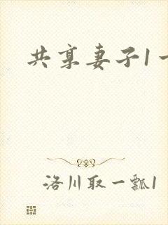 共享妻子1一2