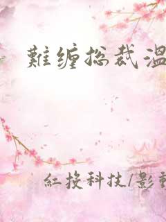 难缠总裁温柔爱