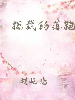 总裁的落跑情人