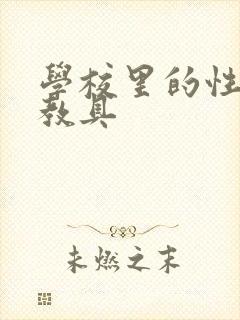 学校里的性教学教具