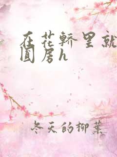 在花轿里就开始圆房h