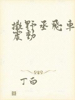 撒野丞飞车道具震动