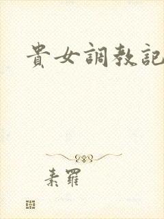贵女调教记