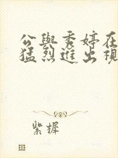 公与秀婷在厨房猛烈进出视频