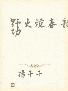 野火烧春 龙鸣功