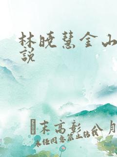 林晓慧金山的小说