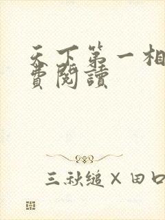 天下第一相书免费阅读