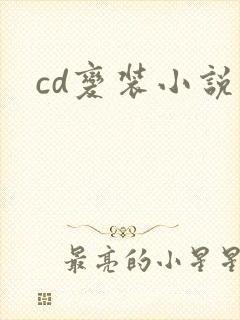 cd变装小说