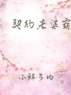 契约老婆霸总裁