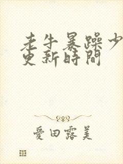 老牛暴躁少女的更新时间