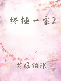 终极一家2