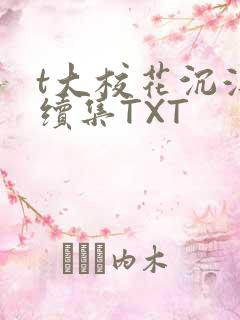 t大校花沉浮录续集TXT