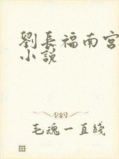 刘长福南宫琉璃小说