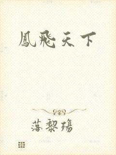 凤飞天下