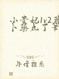 小贵妃1v2萝卜药丸了笔趣阁