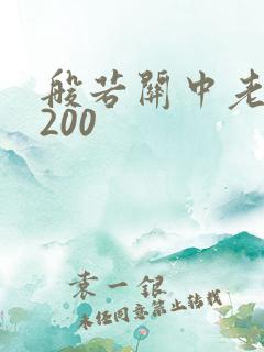 般若关中老人5200