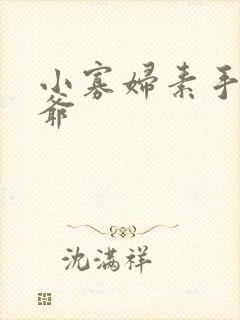 小寡妇素手擒四爷