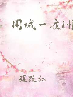 同城一夜i情